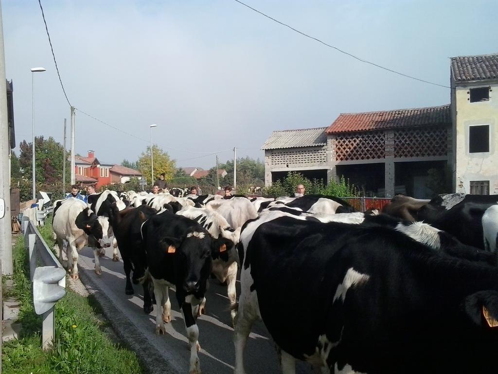 Agriturismo La Prateria Gazzo  Eksteriør bilde